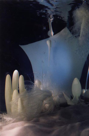 Description: http://www.stromeyerdesign.com/source/img/underwater/1.jpg