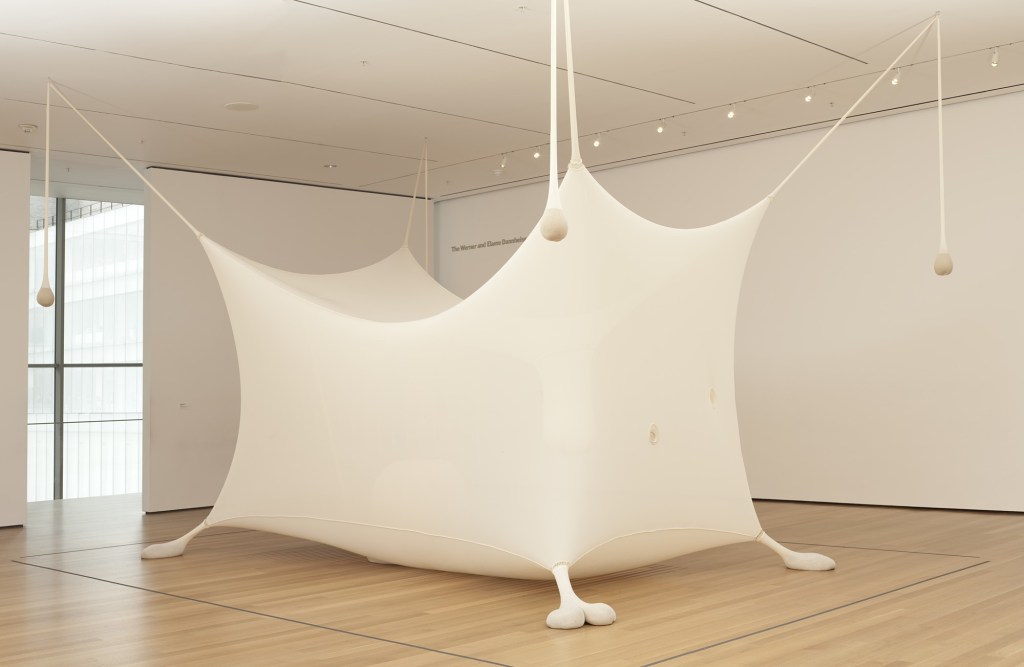 Description: Description: Ernesto Neto. Navedenga. 1998 | MoMA